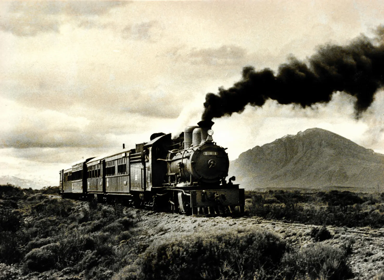 La Trochita